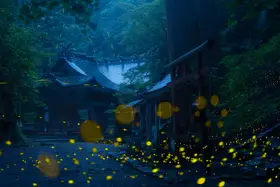 quan, van Vu: Night in the shrine
