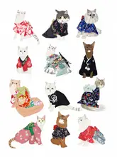 Melin, Hanna: Cat In Kimono