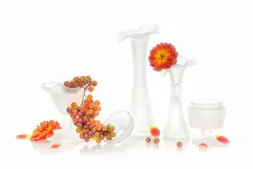 Jacobs, Lydia: Red grapes and dahlias