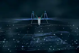 Tsai, MingLun: Nephila pilipes