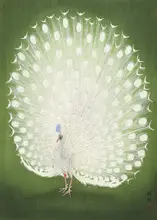 Koson, Ohara: Peacock 50x70