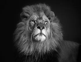 Ma, Frank: Staying Alert