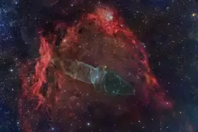 D., Maria Jose: Squid nebula (Nebulosa del calamar)