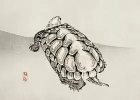 Bairei, Kono: Turtle