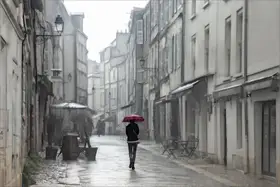 Claes, Gilbert: Raining cats and dogs...