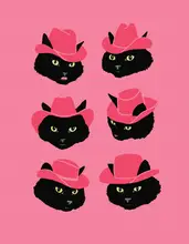 Yeehaw, Can Anyone: Marcy the Cowgirl Cat
