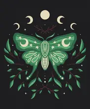 Studio, XYZ: Celestial Moth Bloom