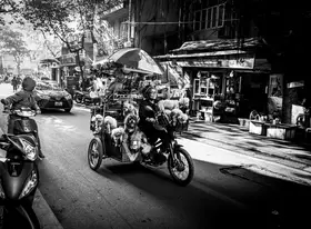 Sylvestre, Christian: Taxi dogs