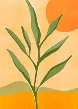 Gallagher, Kristian: Baby Olive Tree