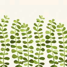 Gallagher, Kristian: Sweet Sprouts Detail