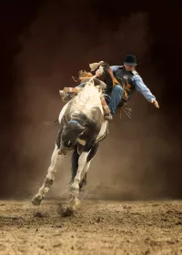 little7: Bareback Bronc Riding