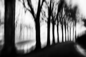 Imaginative: Moody landscape