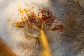 Krimpen, van Brigitte: Turned around