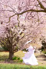 Suemasa, Hiroaki: spring breeze