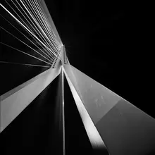 MARTÍNEZ, CARLOS JUAN: Erasmus Bridge Rotterdam