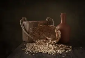 Perfoncio, Margareth: Seeds