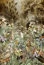 Goggin, Simon: Convocation of Eagles (Collective Nouns)