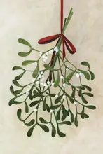 Blursbyai, Laiz Rosana: Mistletoe bouquet with bow