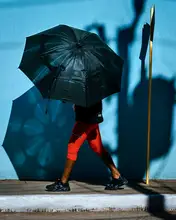 Bauer, Andy: Umbrella