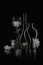 Jacobs, Lydia: White Peruvian-lily