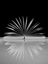 Langerak, Henk: Open book