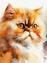 Jaszke, Justyna: Cat watercolor painting animal
