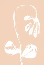 Martina: Peach Flower