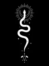 Studio, XYZ: Celestial Snake 1