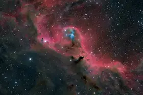 Chander, Vikas: Cederblad 51