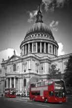 Viola, Melanie: LONDON St. Paul’s Cathedral & Red Bus