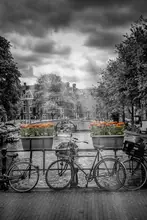 Viola, Melanie: Amsterdam Cityscape
