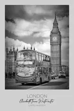 Viola, Melanie: In focus: LONDON Westminster
