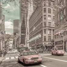 Viola, Melanie: MANHATTAN 5th Avenue | urban vintage style