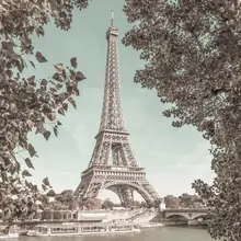 Viola, Melanie: PARIS Eiffel Tower & River Seine | urban vintage style