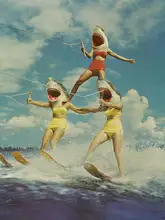 Artography, Vertigo: On Evil Beach - Shark Attack