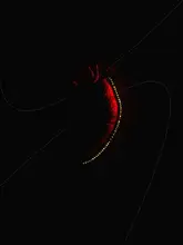 Sandström, Max: Red Heart In Space