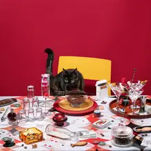 Ramiro, Julia: The capo's cat