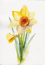 Lindstrom, Christine: Daffodil March