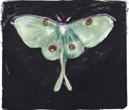 Lindstrom, Christine: Luna Moth