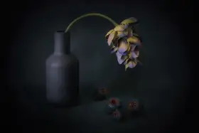 Arjona, Elena: Gloom II