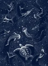 ÇAKIR, Alirıza: Cosmic Ocean