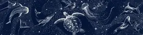 ÇAKIR, Alirıza: Cosmic Ocean