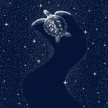 ÇAKIR, Alirıza: Starry Turtle