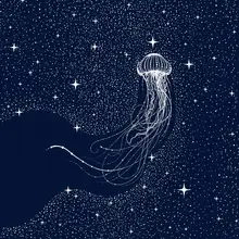 ÇAKIR, Alirıza: Starry Jellyfish
