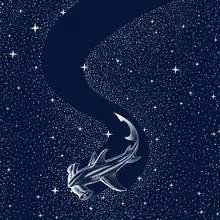 ÇAKIR, Alirıza: Starry Hammerhead