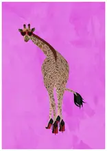 Manovski, Sarah: Quirky Giraffe wearing shoes