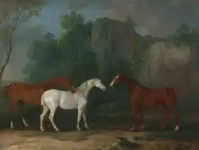 Gilpin, Sawrey: Three horses in the rocks