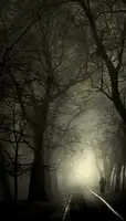 Senechal, David: Misty morning