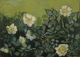 Gogh, Vincent van: Wild rose