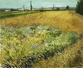 Gogh, Vincent van: Cornfield